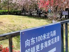-元大都城垣遗址公园