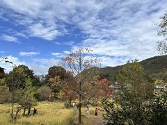 -塔川景区