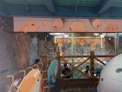 -海合安青岛极地海洋公园
