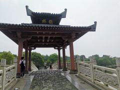 -东湖落雁景区
