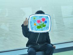 -宁波海天一洲景区
