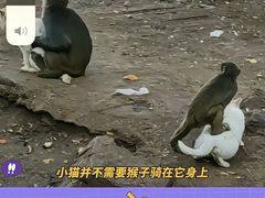 -云南野生动物园