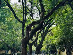 -颐和路民国时期公馆风貌区