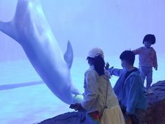 -华夏文旅海洋公园