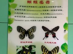 -上海昆虫博物馆