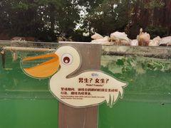 -珠海长隆海洋王国