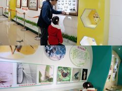 -上海昆虫博物馆