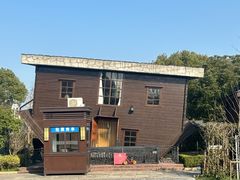 -金山农民画村-枫泾波兰倒置屋