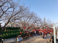 -狼牙山风景区