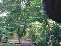 android_upload_pic-天目湖御水温泉·度假酒店