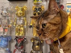 -融创·外滩壹号院