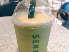 -森茶(湛江万达店)