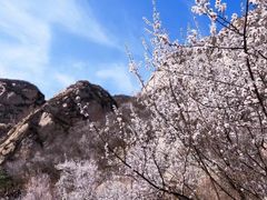 -北京凤凰岭
