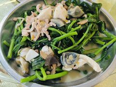 上汤板蓝根-红旗山庄(圭峰山店)