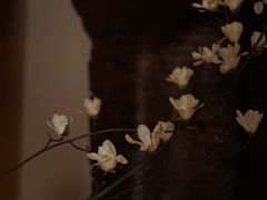 -见山茶事(丽水路店)