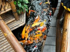 -上海大自然野生昆虫馆(东方明珠·爬宠昆虫探索中心)