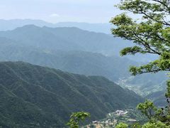 -王顺山国家森林公园