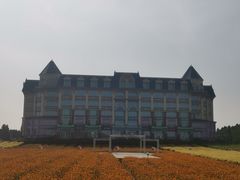 -百万葵园