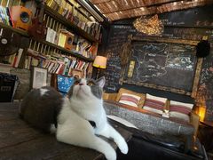 -城墙外BAR