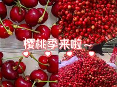 -白鹿原樱桃园