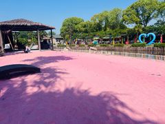 -苏州太湖西山岛开心农场