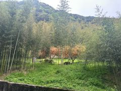 -黄公望隐居地