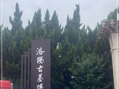 -洛阳古墓博物馆