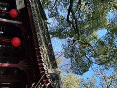 -上海醉白池公园