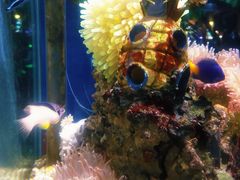 -太平洋海底世界