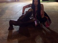 -夜间野生动物园