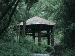 -深圳国际园林花卉博览园