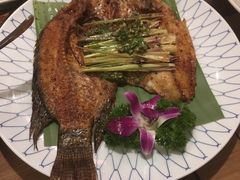 -紫滇源云南生态菜(丹凤街店)