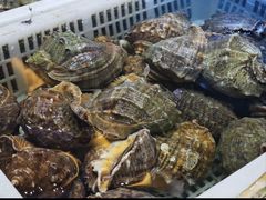 -大众海鲜(巨龙北路店)
