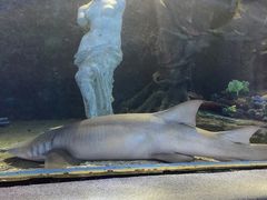 -太平洋海底世界