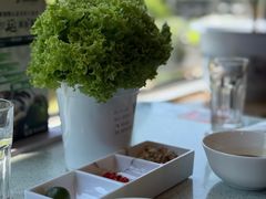 -烹然四季椰子鸡火锅(团结湖总店)