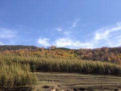 -塞罕坝国家级自然保护区