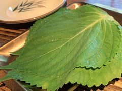 -范儿·嫂子烤肉·精致炭火烤肉(长治路店)