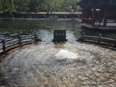 -百脉泉景区