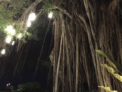 -阿瓦尼河滨曼谷酒店