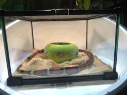 -酷嗒动物文化乐园(cutezoo西溪乐天城店)