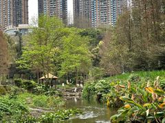 -重庆彩云湖湿地公园