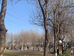 -九十九顶毡房(阜石路店)