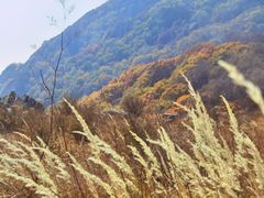 -白草畔自然风景区