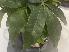 -好福记饭店(红梅公园店)