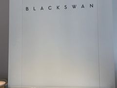 -BLACKSWAN黑天鹅(环球店)
