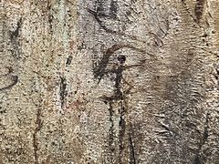 -中国美术学院-美术馆