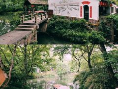 -西溪国家湿地公园