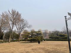 -方庄体育公园