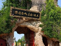 -大槐树寻根祭祖园