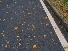 -火炉山森林公园